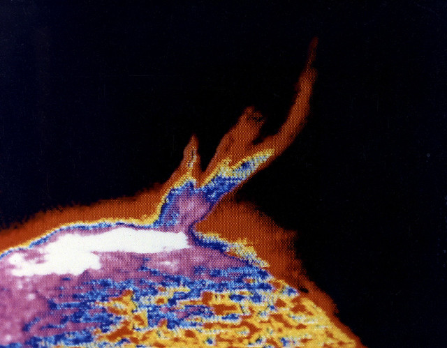 Skylab Observes a Solar Flare