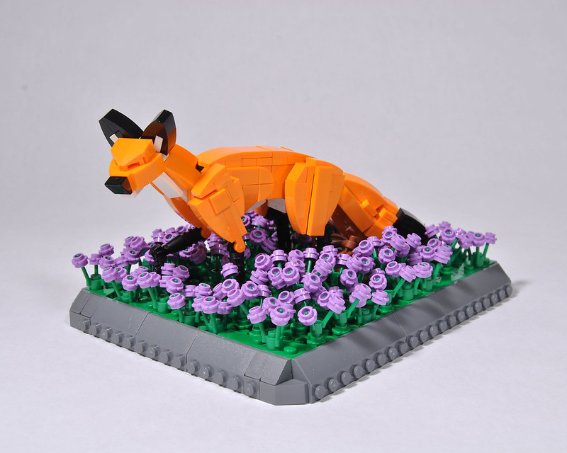 Flower Field Fox
