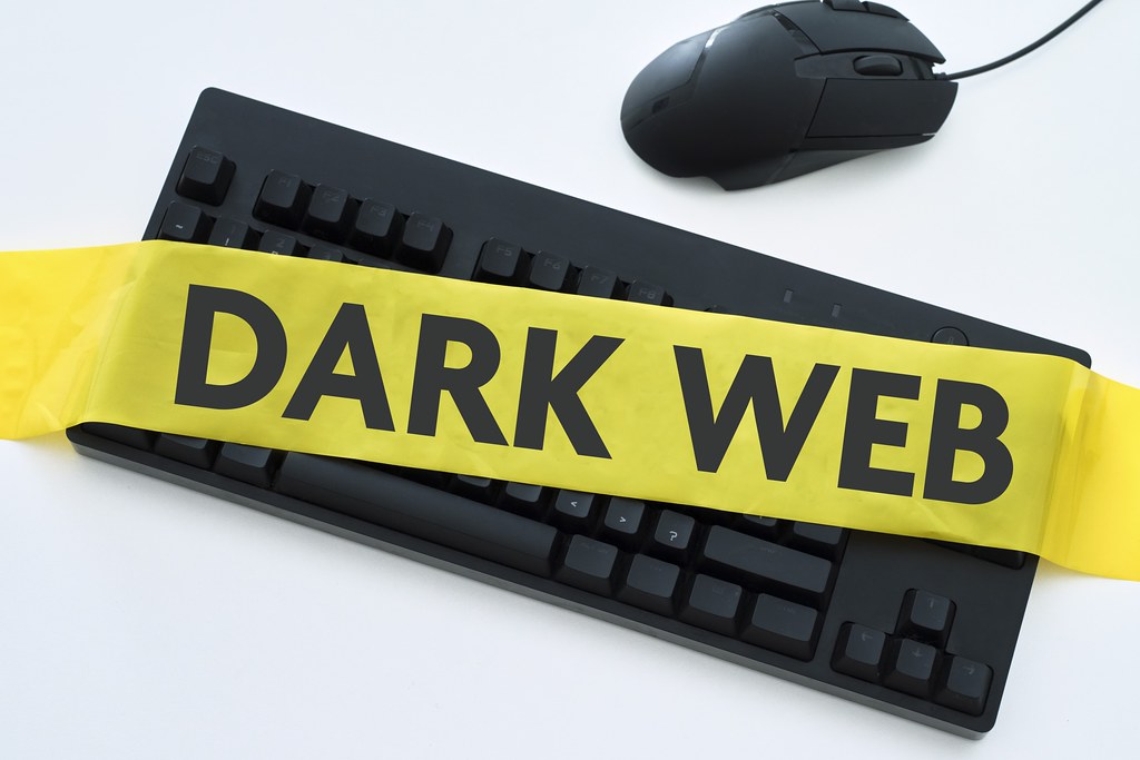 💻 Dark Web, Cryptography Secrets & AI Gone Rogue: A Verified Fact Worth Knowing