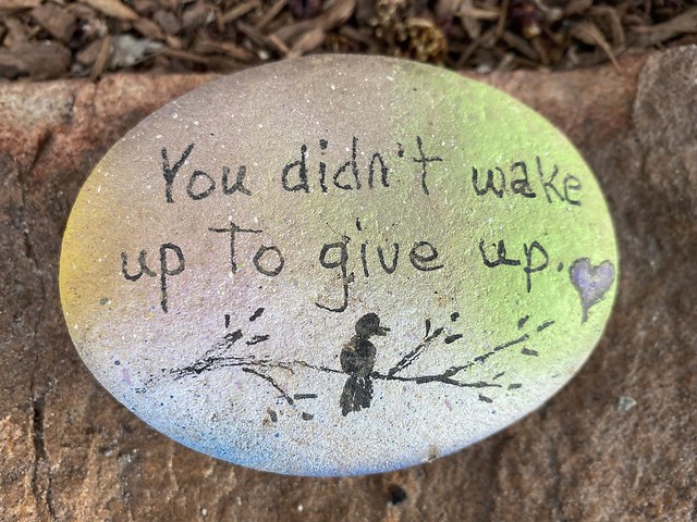 Message On A Rock