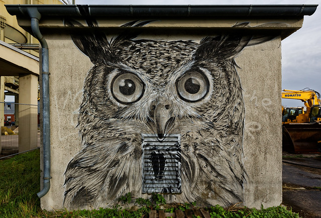 Graffiti 2023 in Karlsruhe