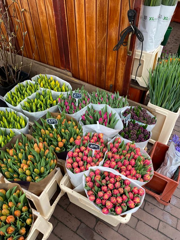 Mercado de flores de domingo en Gante