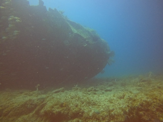 2023 April 28 AM Benwood Wreck & French Reef