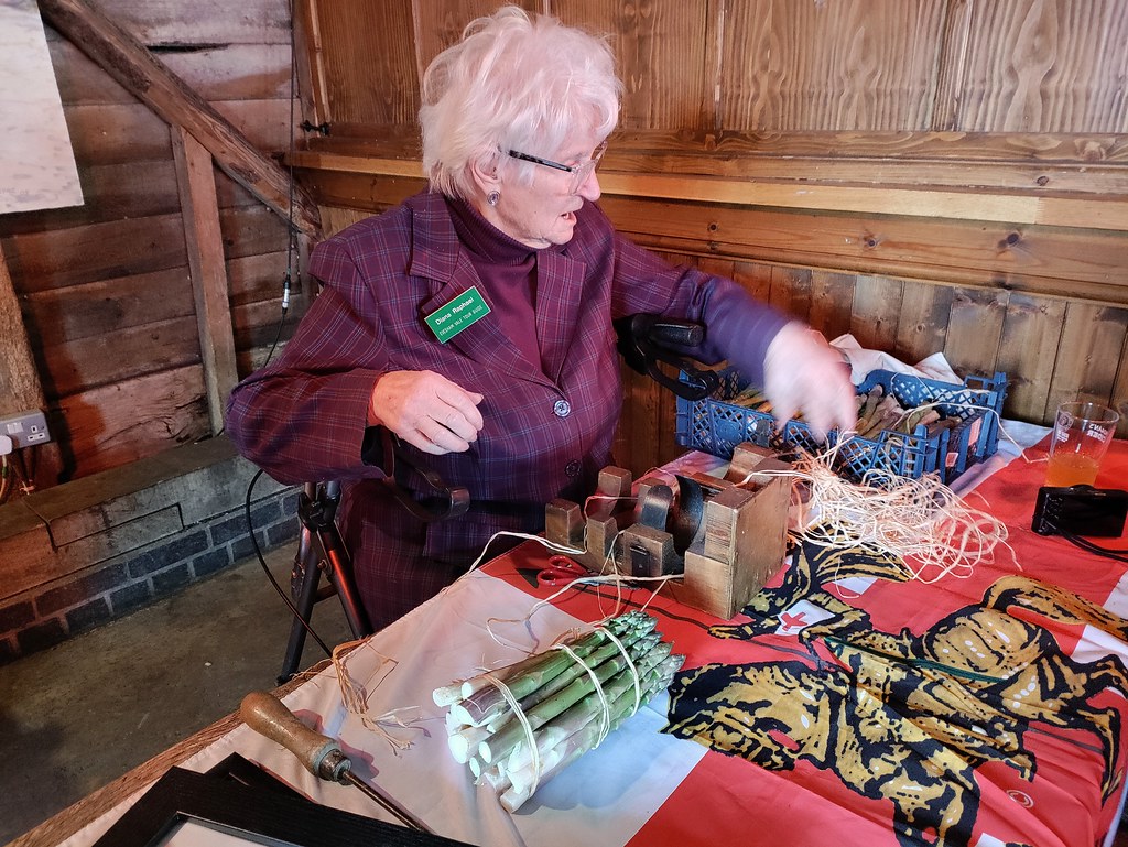 Demonstration of traditional asparagus bundle tying using willow, British Asparagus Festival