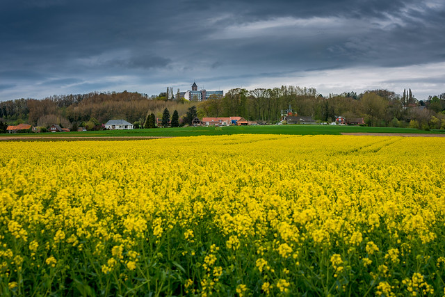 Un peu de jaune