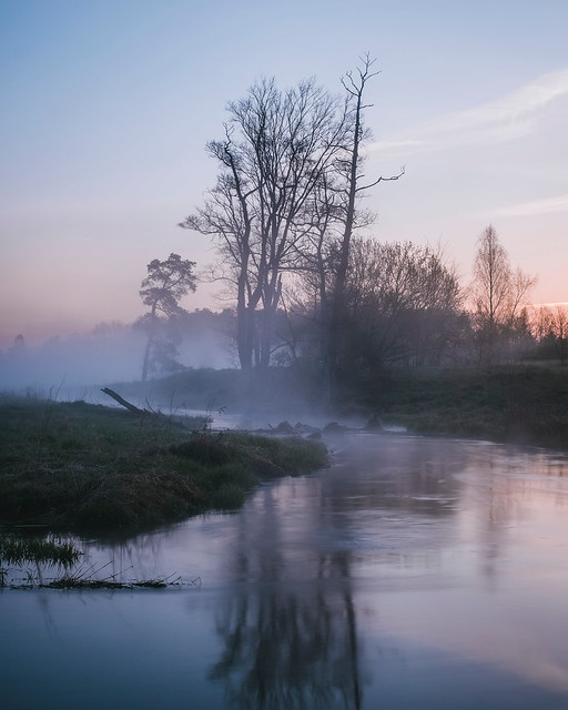 Spring morning by the Jeziorka River