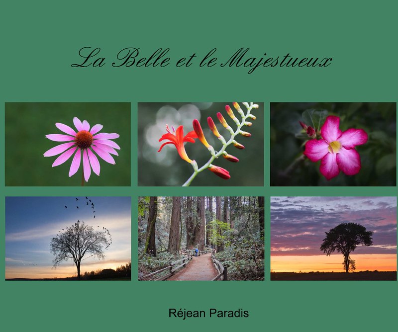 « La belle et la majestueux » - Livre photo - Réjean Paradis - Société des photographes artisans de Québec - 9e - 68,33