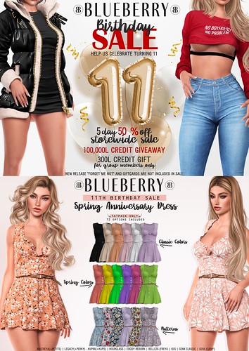Blueberry - 11th Anniversary Sale & Door Buster