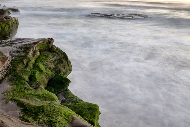 Windansea: Cliffs and Waves and Moss [Explored]