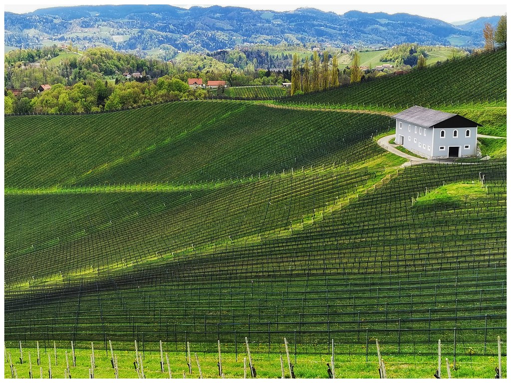 Steirisches Weinland 🍷💚Styrian wine country 🍷💚