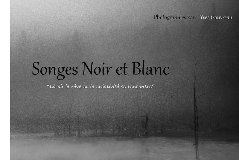 « Songes noir et blanc » - Livre photo - Yves Gauvreau - Club photo de Boisbriand - 1re - 85,67