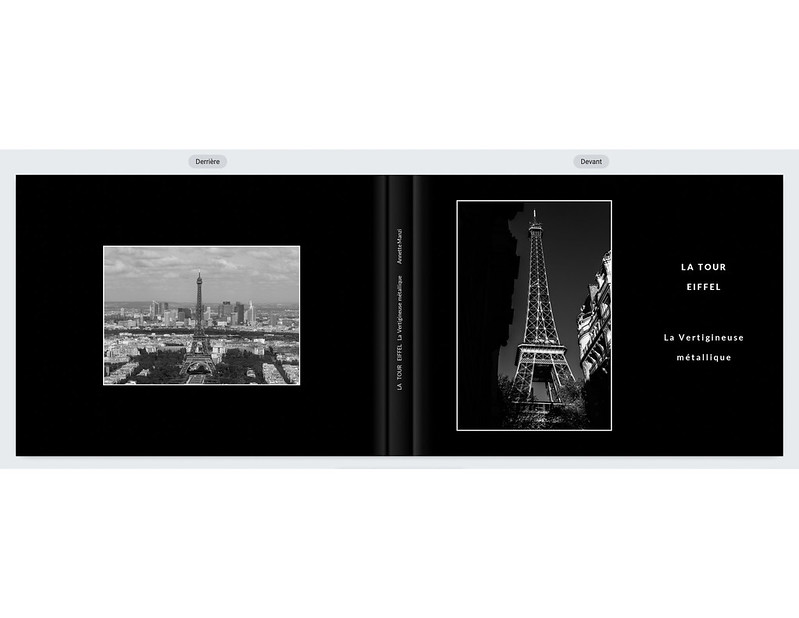 « La tour Eiffel : la vertigineuse métallique » - Livre photo - Annette Manzi - Société des photographes artisans de Québec - 8e - 69,33