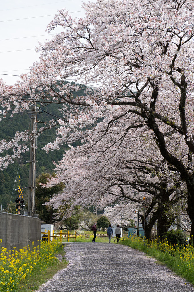 20230331 Tarumi railway 2