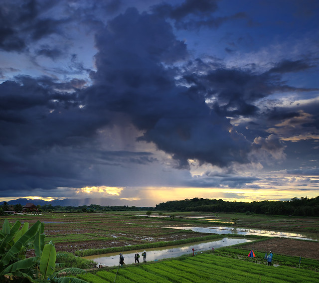 Spectacular monsoon formations above the paddy fields in province Nan