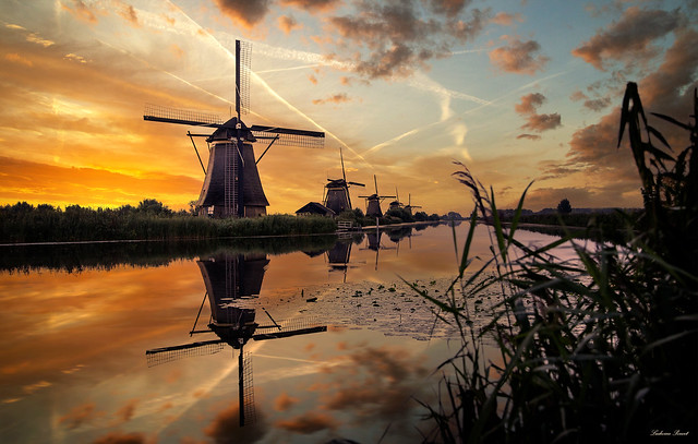 Lever de soleil sur les moulins de Kinderdijk, Pays-Bas, Europe.