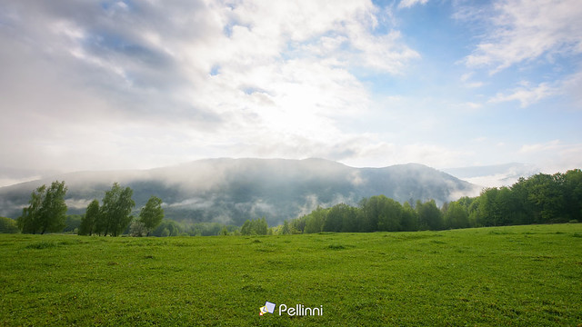 grassy meadow landscape of ukrainian mountains. view in to the distant valley. misty morning