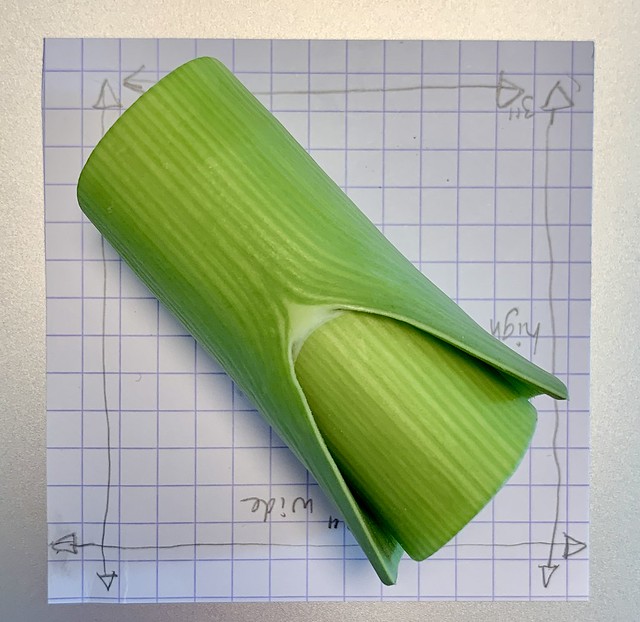 The photographed « 3 inch square » of the leek shows its size and highlights « Mother Nature’s design skill. »