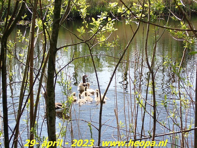 2023-04-29  Almere-Duin  (15)