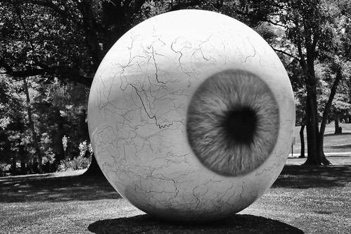 Laumeier Sculpture Park by lukedrich_photography, Source: <a href="https://en.wikipedia.org/wiki/St._Louis" rel="noreferrer nofollow">en.wikipedia.org