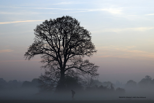 Commute through mist  -  (Published by GETTY IMAGES)