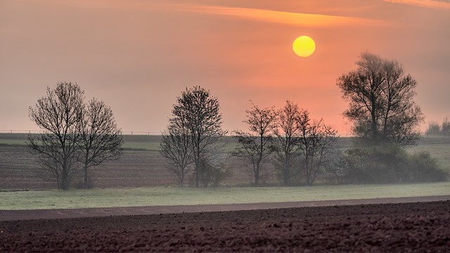 *sunrise in the fog over the fields*