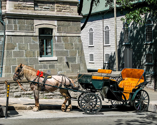 photo - Horse & Carriage, Quebec City