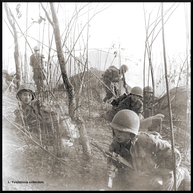 Operation Pollux (Dec 8 - 15, 1953)