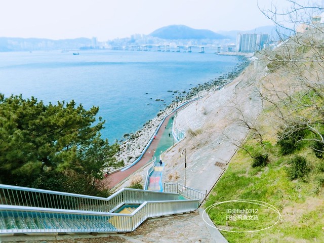 釜山必去 白險灘文化村+絕影海岸散步路(흰여울문화마을) 影島交通方式 在釜山搭公車