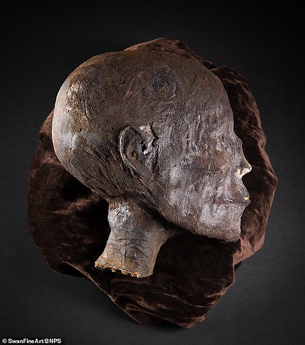 A rare 2,800-year-old mummified Egyptian head which was brought back to the UK by a British soldier during the First World War