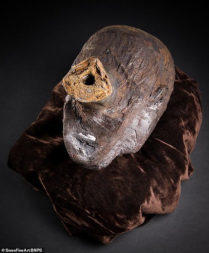 A rare 2,800-year-old mummified Egyptian head which was brought back to the UK by a British soldier during the First World War