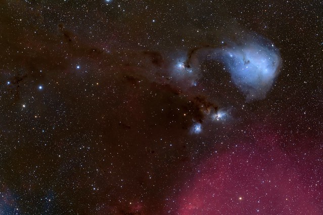 IC 447 - Dreyer's Nebula
