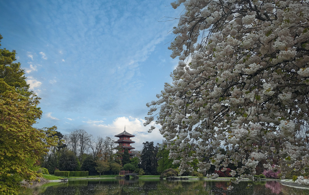 Royal Japanese garden - Brussels - Belgium