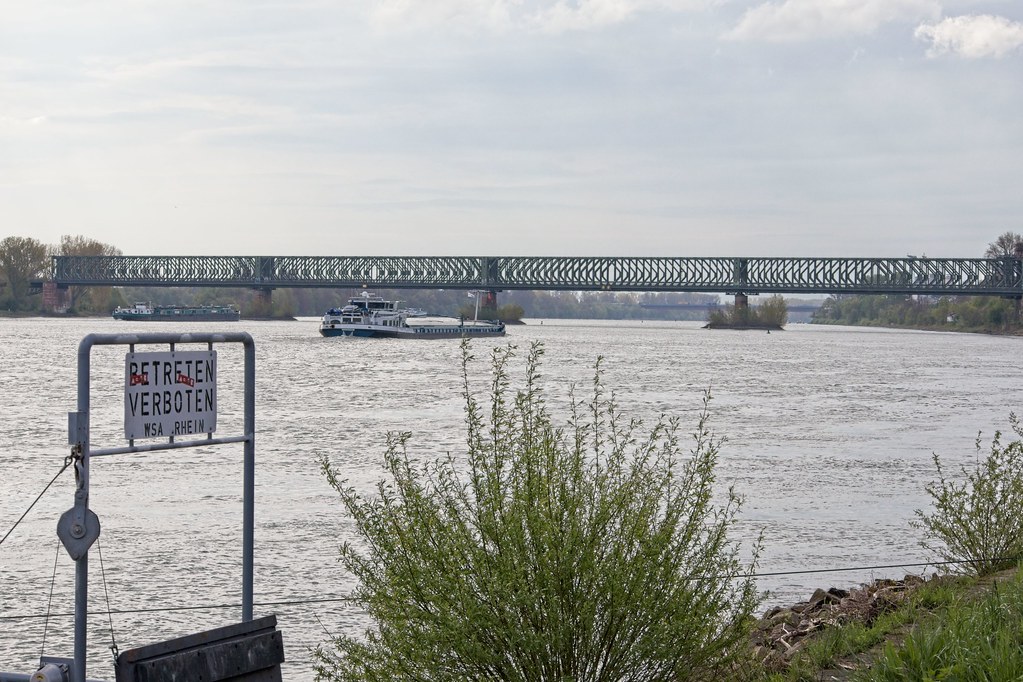 Rhein und Eisenbahnbrücke Mainz-Süd