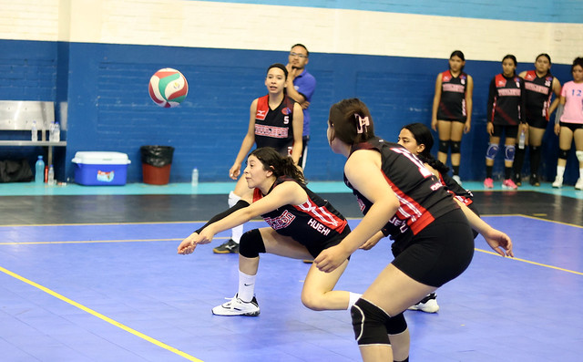 Campeonato Nacional Juvenil Femenino de Voleibol