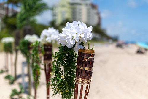 Ahlia Donovan Ideal I Do's Florida Beach Weddings_83