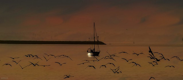 Sailboat-at-Dawn