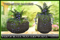 TMG - Pair of Rustic Planters Purple