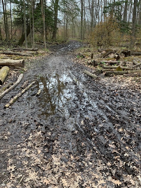 Reflections on the mud at Duffins trail in Discovery bay , Martin’s photographs , Ajax , Ontario , Canada , May 2. 2023