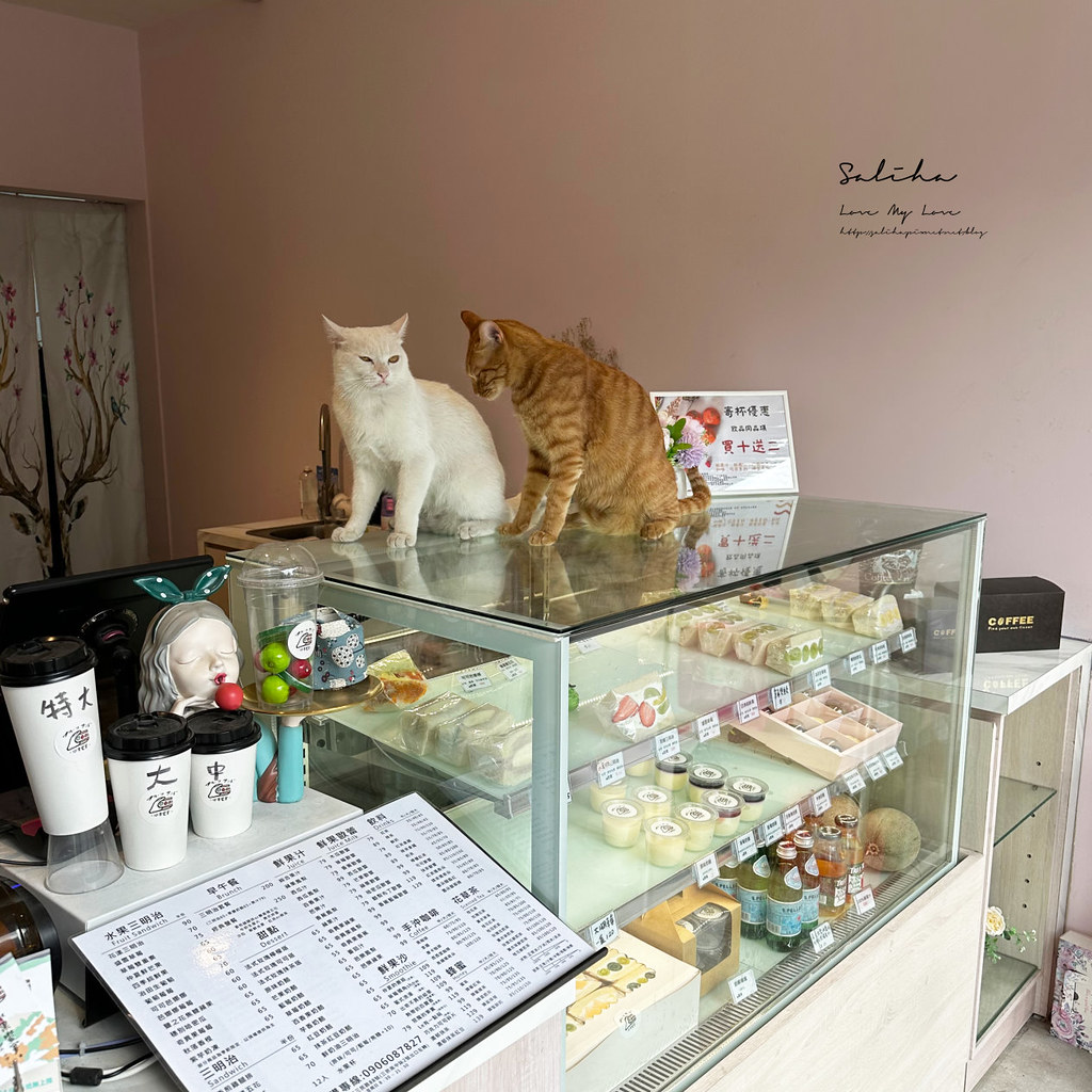 新北有貓咪甜點咖啡廳下午茶水果饗宴蘆洲美食 (1)