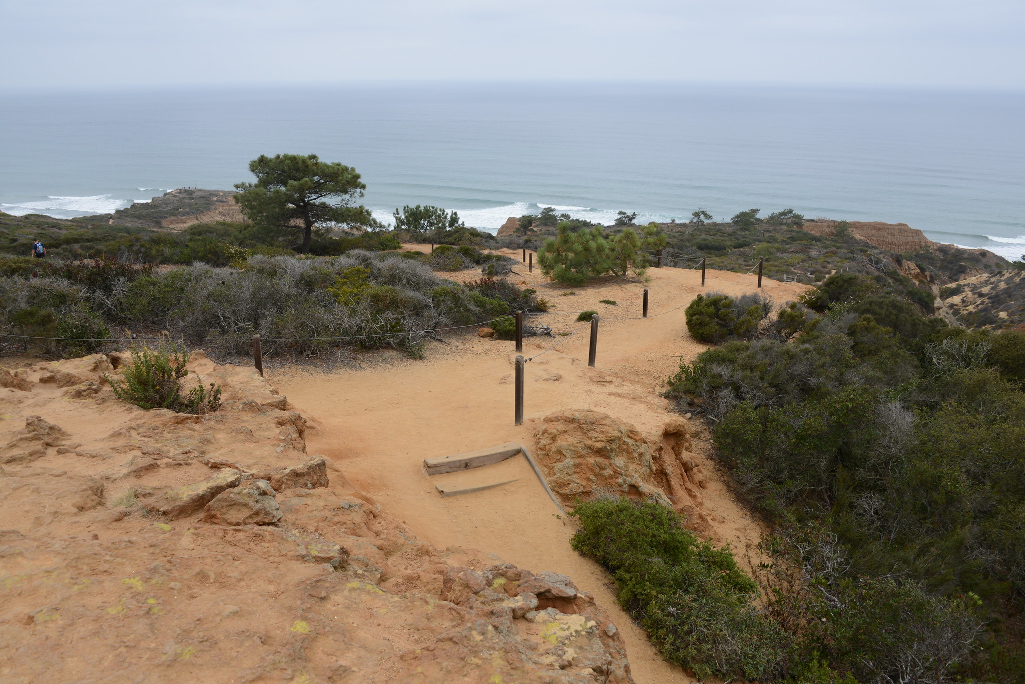 Looking down to the shore at Torrey Pines State Reserve