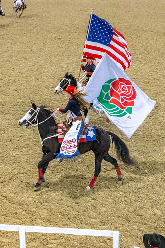 2022 Equestfest (49)
