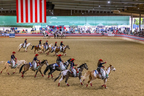 2022 Equestfest (46)