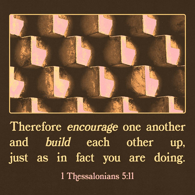 ENCOURAGE & BUILD | 1 Thessalonians 5:11 ✝️ #youversion #holybible #kingjamesversion #1thessalonians511 #taurus♉️ #may3 #encourage #build #bible2023 #wisdomwednesday
