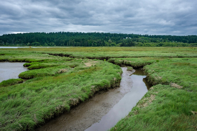 Theler Wetlands