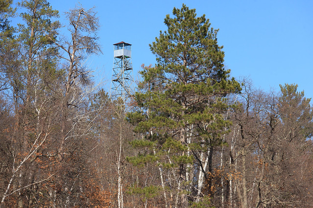 Paul Theide Fire Tower - Pequot Lakes
