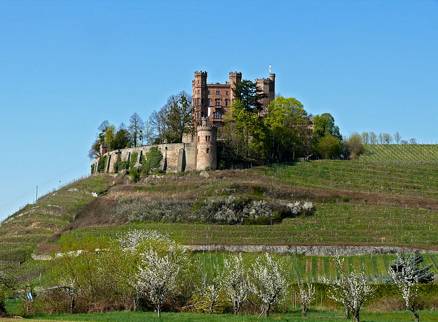 Schloss Ortenberg im Frühling / Ortenberg Castle in spring