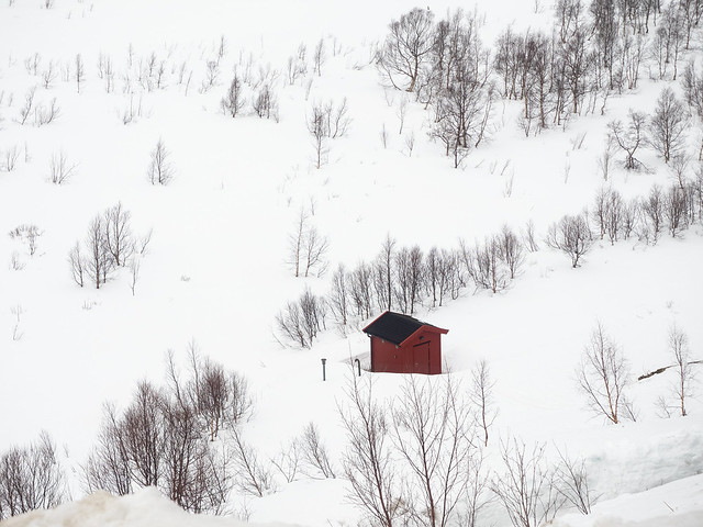 Red Hut in the Snow