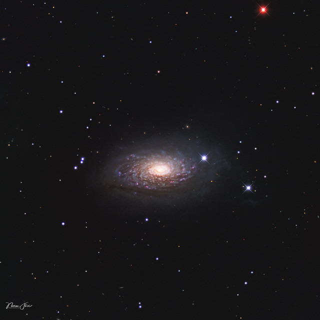 M63 Sunflower Galaxy NGC 5055