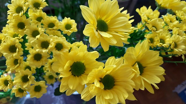 Cheerful summer flowers