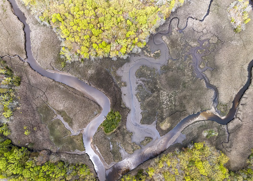 Shark River by James Loesch, The head of the Shark River in Neptune Township, New Jerseydronephotography dronelandscape djimavicp